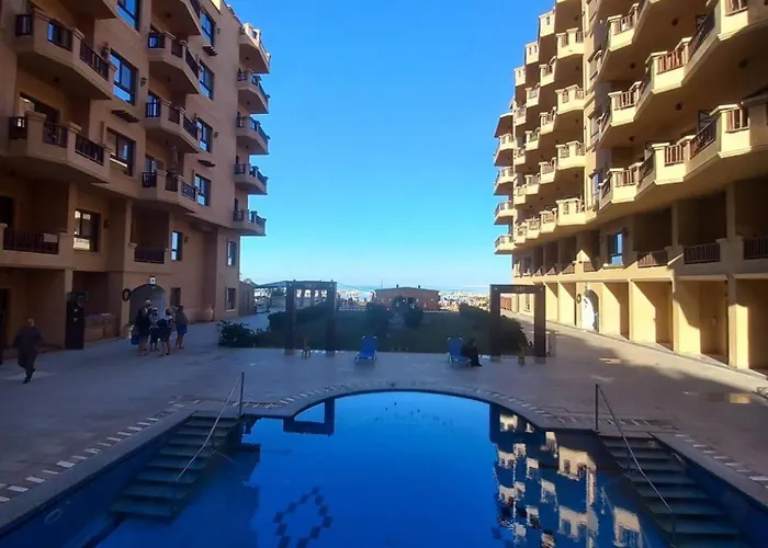 Chalet Turtles In Hurghada